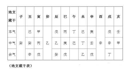 申五行|十二地支藏干 十二地支五行属性对照表